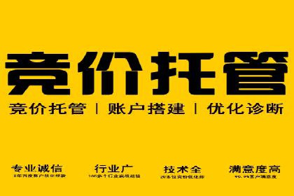 SEM广告优化案例：实战技巧解析